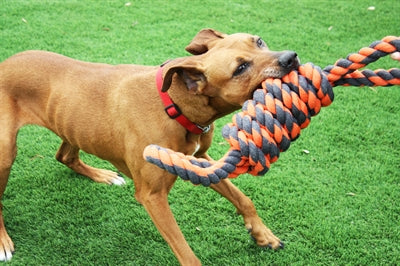 Happy Pet Nuts For Knots Extreme Spoel 8 Vorm Tugger Grijs / Oranje 55X11X11 CM - 0031 Shop