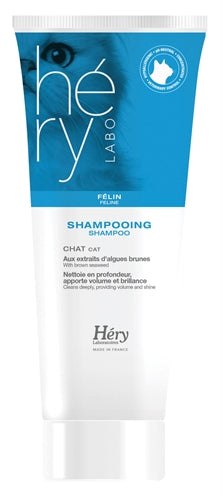 Hery Shampoo Kat 200 ML - 0031 Shop
