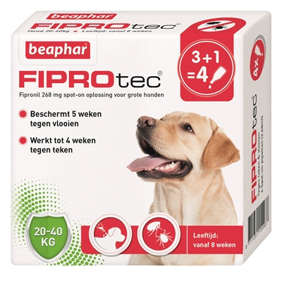 Beaphar Fiprotec Hond Tegen Teken En Vlooien - 0031 Shop