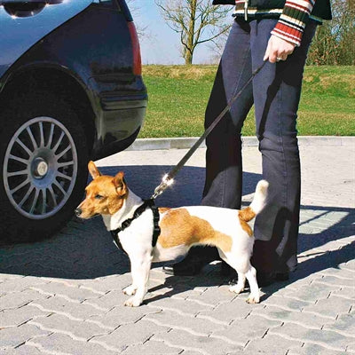 Trixie Hondentuig Auto Inclusief Gordel Zwart - 0031 Shop