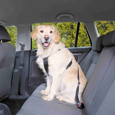 Trixie Hondentuig Auto Inclusief Gordel Zwart - 0031 Shop