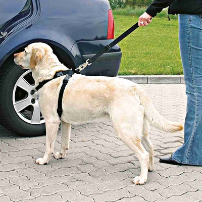 Trixie Hondentuig Auto Inclusief Gordel Zwart - 0031 Shop