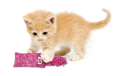 Kong Cat Kickeroo Kitten Assorti 5,5X3X21,5 CM - 0031 Shop