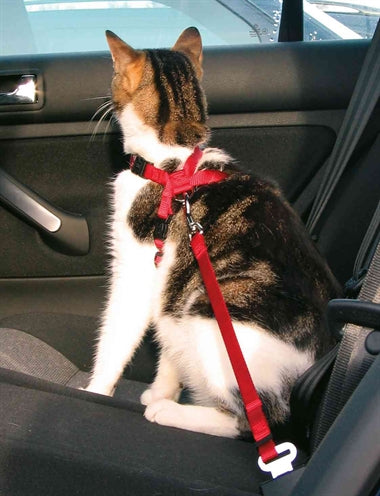 Trixie Kattentuig Voor In De Auto Rood 20-50X1,5 CM - 0031 Shop