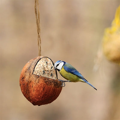 Best For Birds Kokosnoot Gevuld Met Vet 350 GR - 0031 Shop