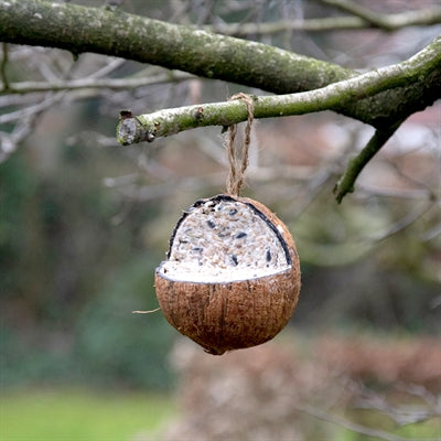 Best For Birds Kokosnoot Gevuld Met Vet 350 GR - 0031 Shop
