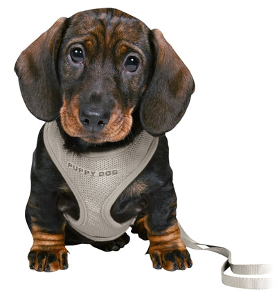 Trixie Junior Puppytuig Soft Met Riem Lichtgrijs 26-34X1 CM  / 2 MTR - 0031 Shop