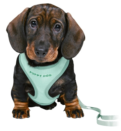 Trixie Junior Puppytuig Soft Met Riem Mintgroen 26-34X1 CM  / 2 MTR - 0031 Shop