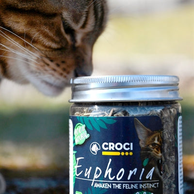 Croci Euphoria Catnip Pot 25 GR - 0031 Shop