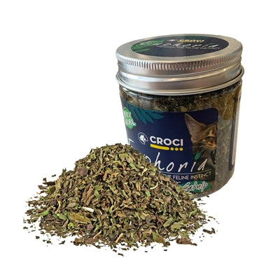 Croci Euphoria Catnip Pot 25 GR - 0031 Shop