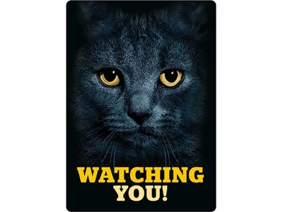 Plenty Gifts Waakbord Blik Zwarte Kat Watching You 21X15 CM - 0031 Shop