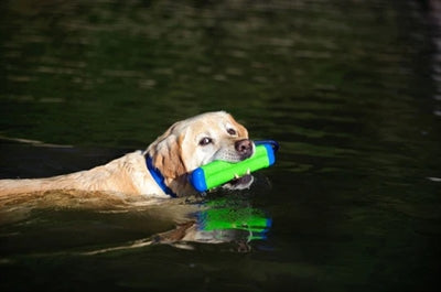 Chuckit Amphibious Bumper SMALL - 0031 Shop