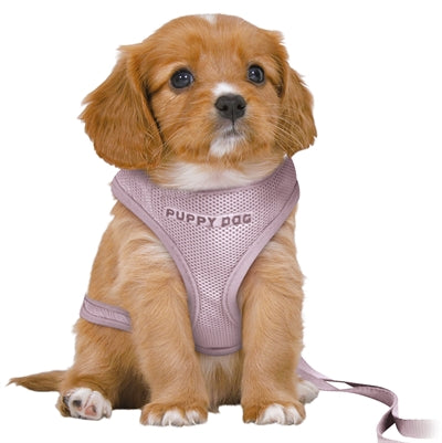 Trixie Hondentuig Junior Puppy Softtuig Met Riem Lila 36-50X1 CM / 2 MTR - 0031 Shop