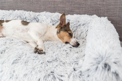 Trixie Sofa Bed Harvey Meubelbeschermer Hoekig Wit / Zwart - 0031 Shop