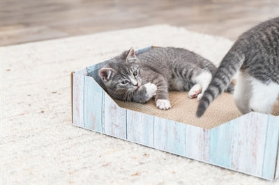 Trixie Krabmand Karton Catnip Turquoise 45X33X12 CM - 0031 Shop