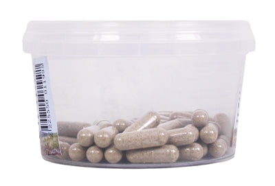 Dierendrogist Echinacea Bio Capsules 50 ST - 0031 Shop
