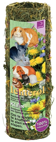 Esve Lenterol - 0031 Shop