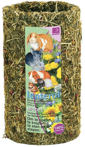 Esve Lenterol - 0031 Shop