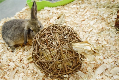 Nature First Happy Pet Speelbal Wilg Nature First - 0031 Shop