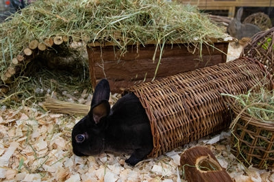 Happy Pet Wilgen Tunnel - 0031 Shop