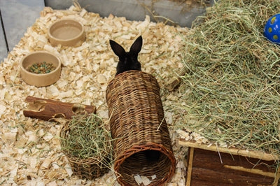 Happy Pet Wilgen Tunnel - 0031 Shop