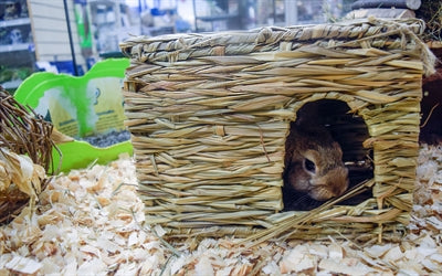Nature First Happy Pet Grassy Hideaway Verstopplek LARGE 36X27X18 CM - 0031 Shop