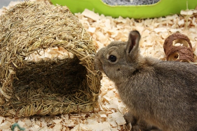 Happy Pet Grassy Tunnel 22X20X15 CM - 0031 Shop
